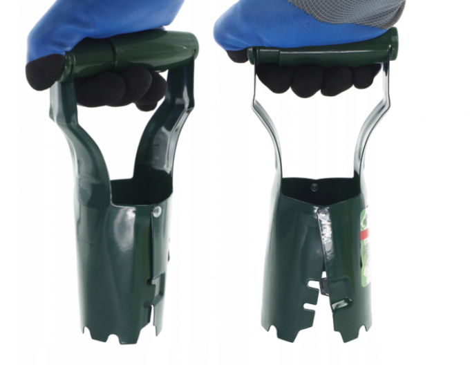 Sadbovač cibulovin LAR 1259