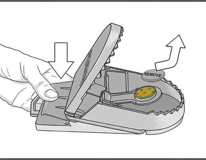 Švýcarská past na krysy Swiss Inno Super Cat