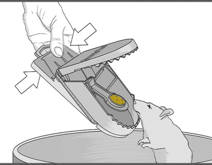 Švýcarská past na krysy Swiss Inno Super Cat