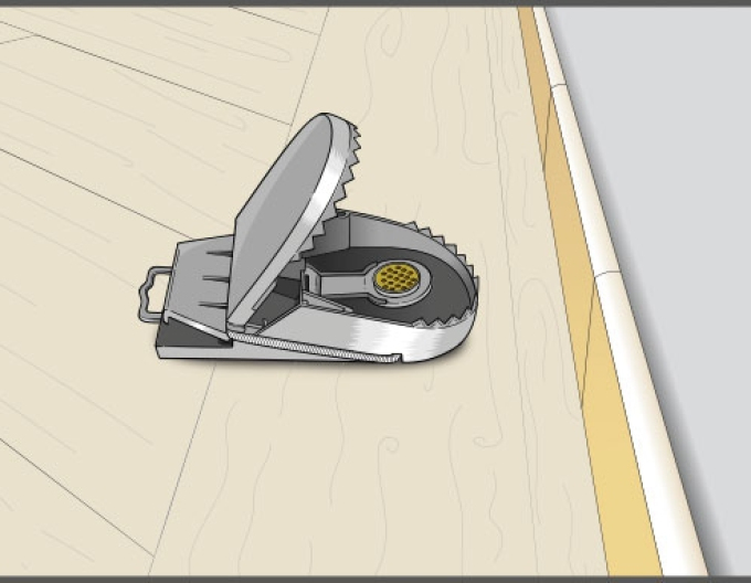 Švýcarská past na krysy Swiss Inno Super Cat