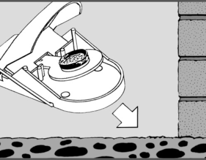 Švýcarská past na myši Swiss Inno Super Cat