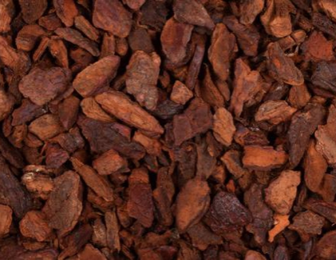 Saniflor Borová kůra 45/80mm 60l