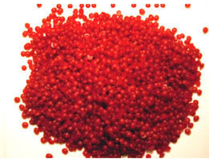 REBWACHS WF vosk na roubování 500g