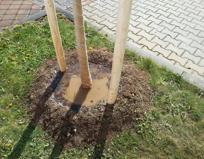 Podpěrný kůl s hrotem o průměru 5 cm - výška 250 cm