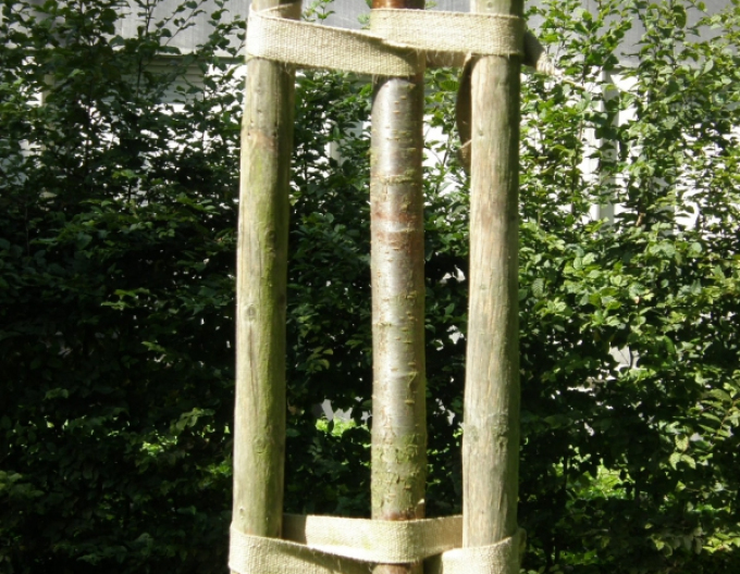 Podpěrný kůl s hrotem o průměru 5 cm - výška 250 cm