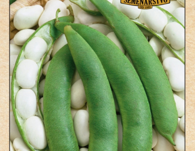 Semenářství Fazol šarlatový - Kontra