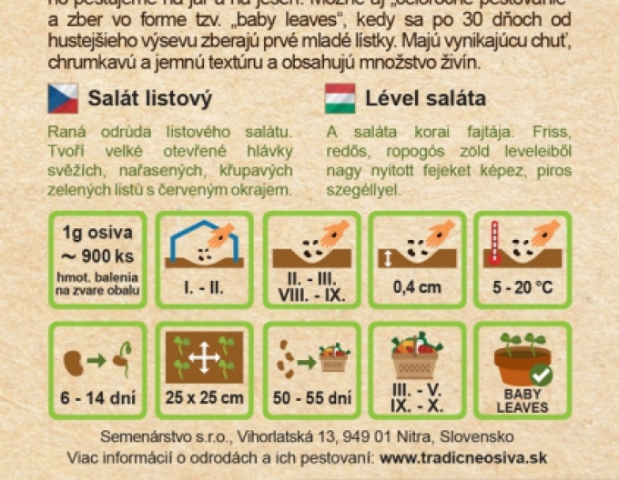 Semenářství Hlávkový salát s nasazenými listy ´Biscia Rossa´