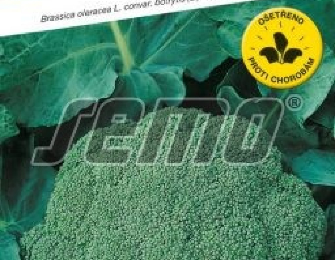 Semo brokolice ´Steel F1´