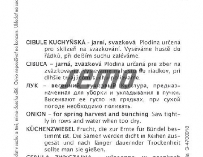 Semo Cibule kuchyňská  ´Rossa di Firenze´