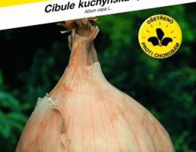 Semo Cibule kuchyňská jarní ´Globo´