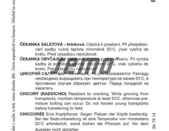 Semo Čekanka salátová ´Palla Rossa 3´