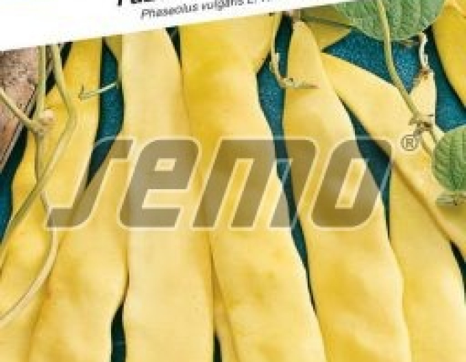 Semo Fazole obecný pnoucí ´Meraviglia Di Venezia´