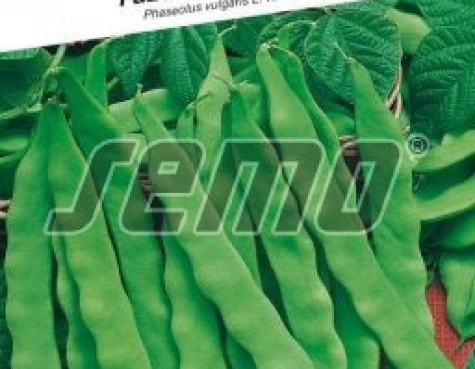 Semo Fazol obecný pnoucí ´Supermarconi Limca´