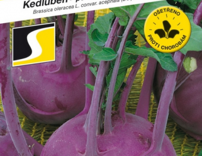 Semo Kedluben ´Purpuran F1´