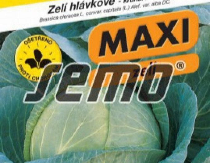 Semo Zelí hlávkové Megaton F1