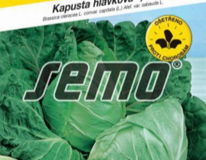 Semo Kapusta hlávková Předzvěst