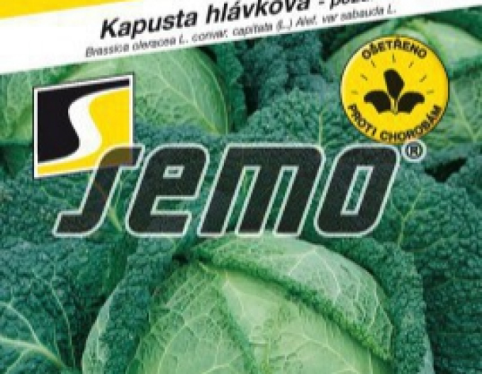 Semo Kapusta hlávková Vertus 2