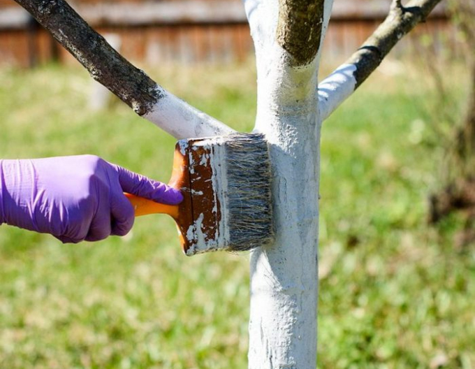 Biovita Vápno na bělení stromů a keřů 2 kg