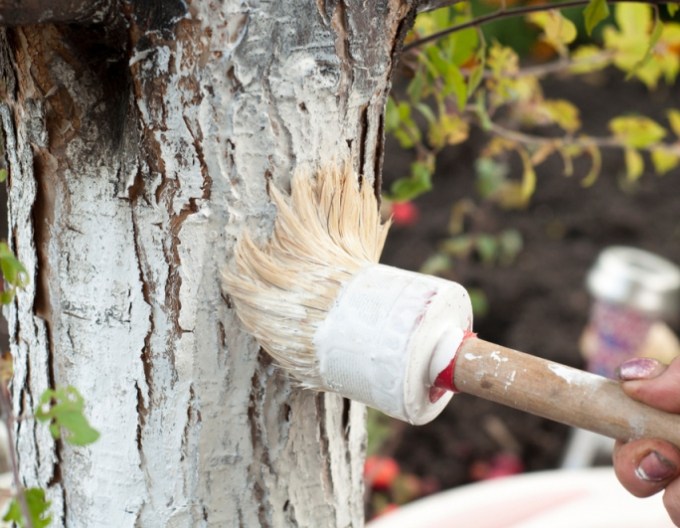 Biovita Vápno na bělení stromů a keřů 2 kg