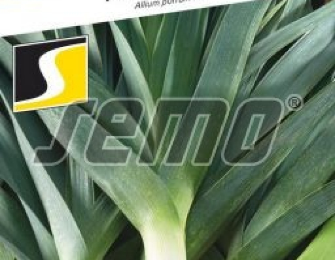 Semo Pór pravý Odrín F1