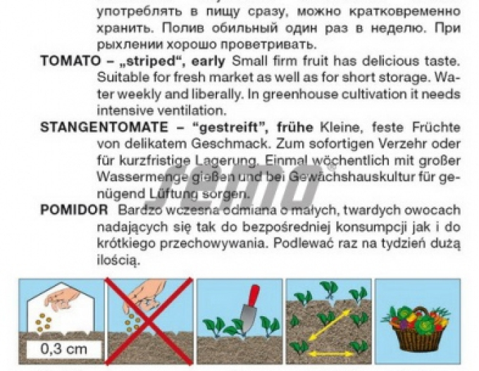 Semo Rajče tyčkové Tigrino