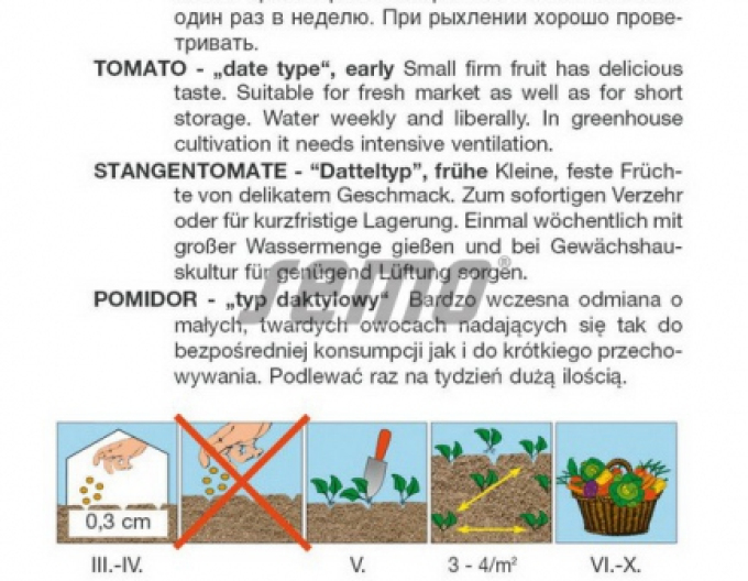 Semo Rajče tyčkové Valdo
