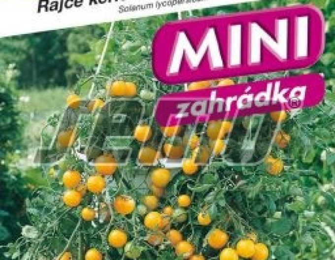 Semo Rajče keřičkové Tumbling Tom YELLOW