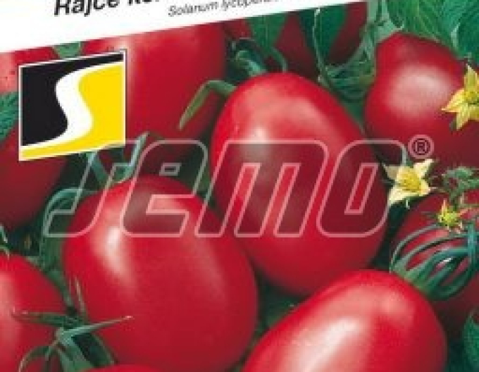 Semo Rajče keříčkové Šejk