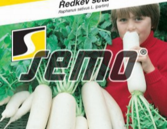 Semo Ředkev setá ´Japana F1´