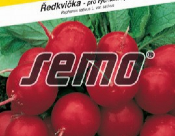 Semo Červená ředkev Granát