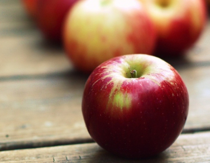 Jabloň Gala zimní, podn. M26, prostok.