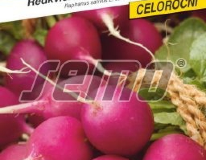 Semo Ředkvička fialová ´Lilana´