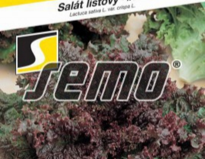 Semo Salát listový Roden
