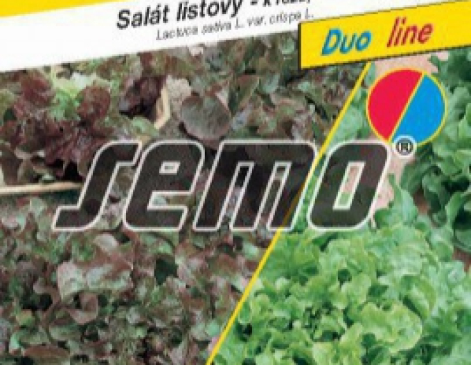 Semo Salát listový směs typu Bowl