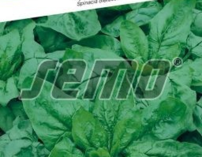 Semo Špenát setý ´Monores´