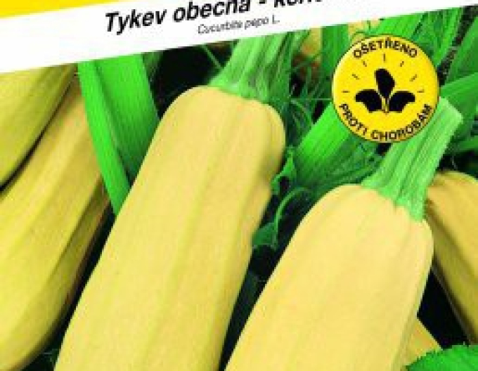 Semo tykev keřičková ´Kveta´