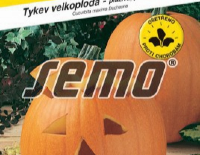 Semo Tykev velkoplodá Gran Gigante