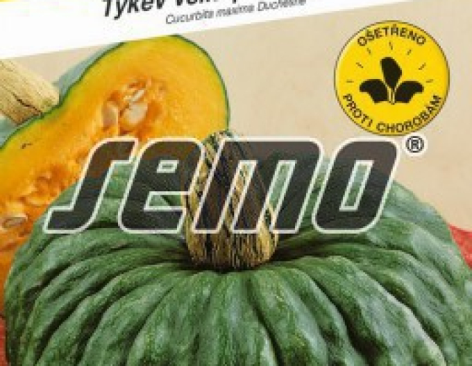 Semo Tykev velkoplodá ´Marina di Chioggia´