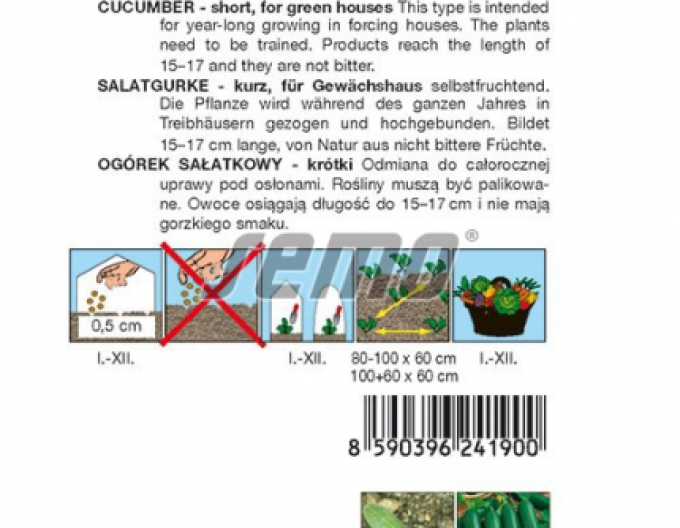 Semo Okurka setá salátová hadovka Baby F1