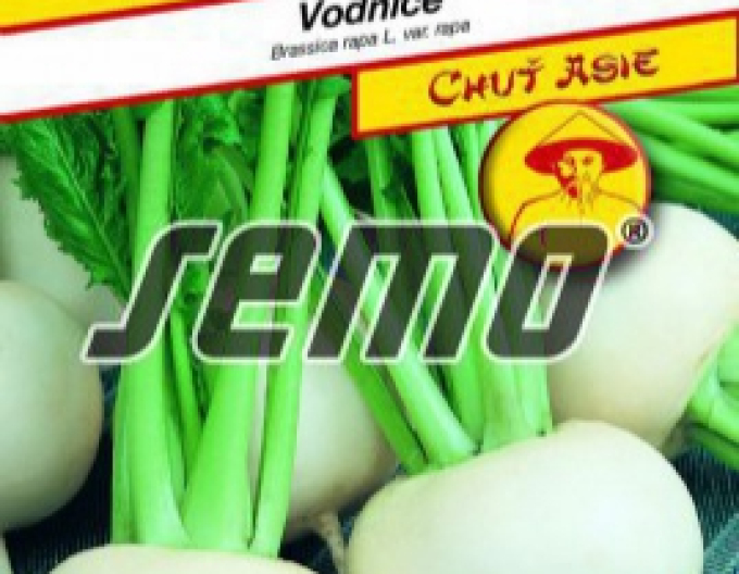 Semo Vodnice ´Tokyo Cross F1´