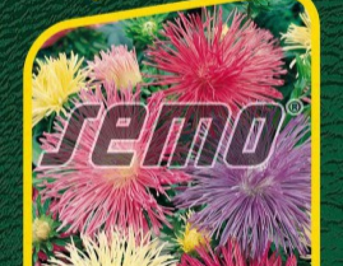 Semo Astra čínská ´Electric Zmes´