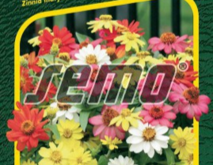 Semo Ostálka ´Zahara mix´