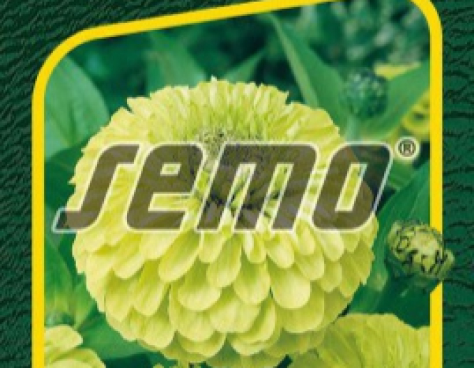 Semo Ostálka lepá Envy