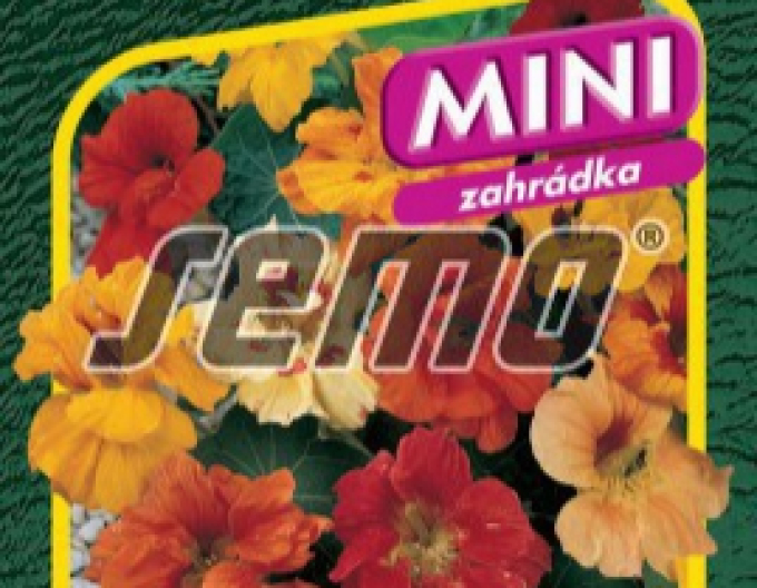 Semo Lichořeřišnice nízká  ´Bijou Double´