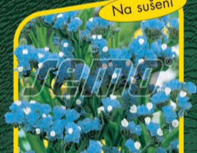 Semo Statice ´Blue´