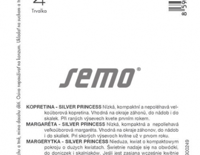Semo Margaretka ´Silver Princess´