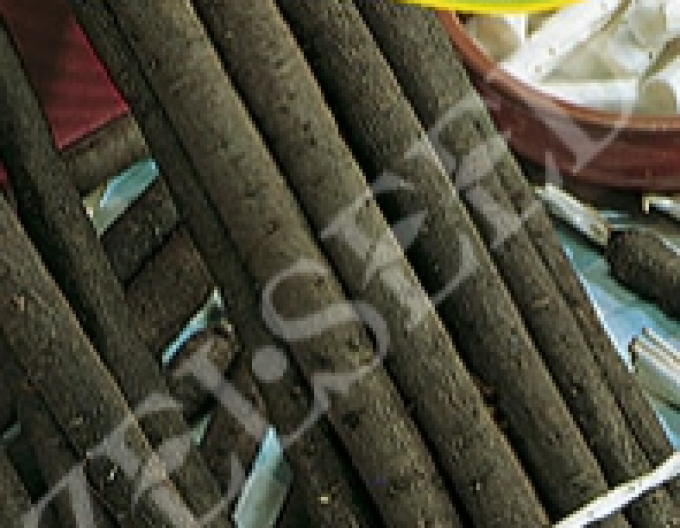 Zelseed Černý kořen