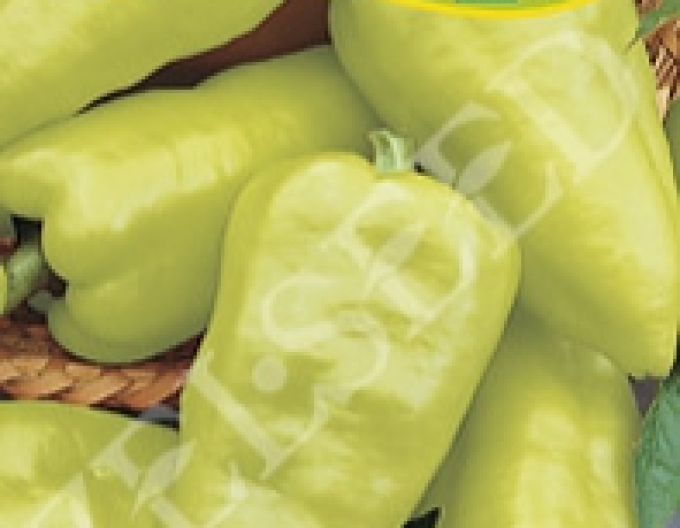Zelseed Paprika roční ´PCR´