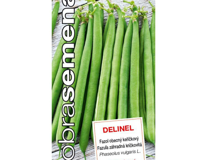 Dobrá semena Zahradní fazole Delinel