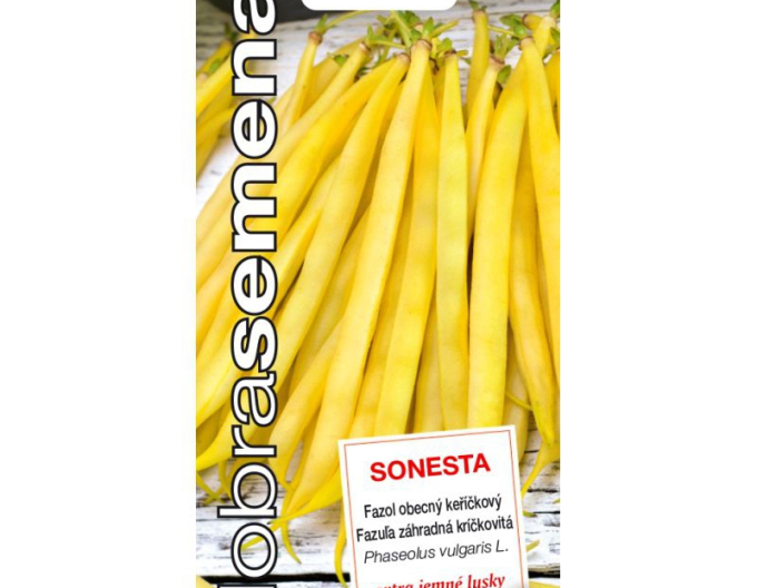 Dobrá semena Fazol obecny keříčkový Sonesta